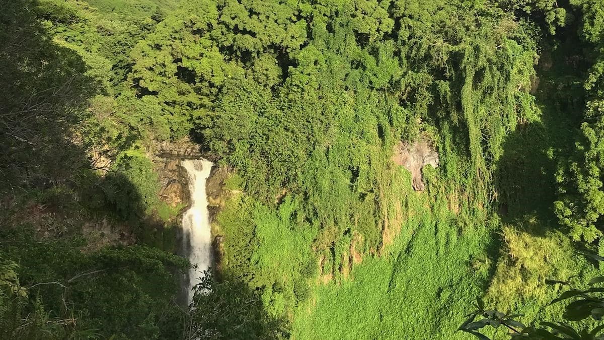 Makahiku Falls from the Pīpīwai Trail overlook